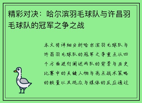精彩对决：哈尔滨羽毛球队与许昌羽毛球队的冠军之争之战